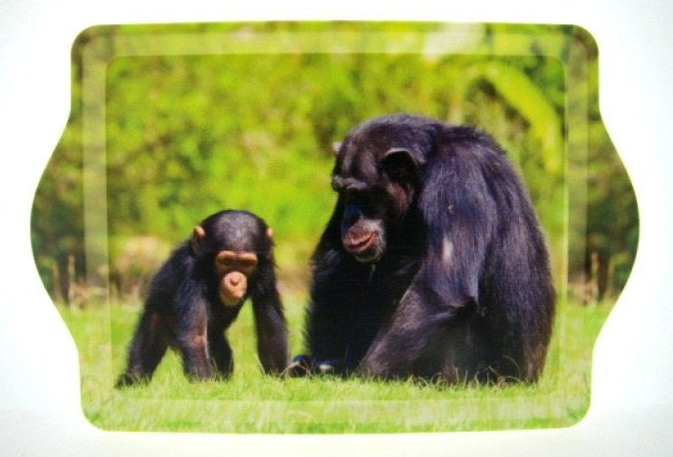 Chimpansee met baby dienblad, 21 x 14,5 cm