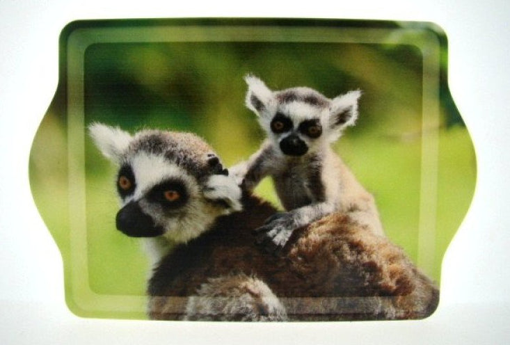 Ringstaartmaki dienblad, 21 x 14,5 cm