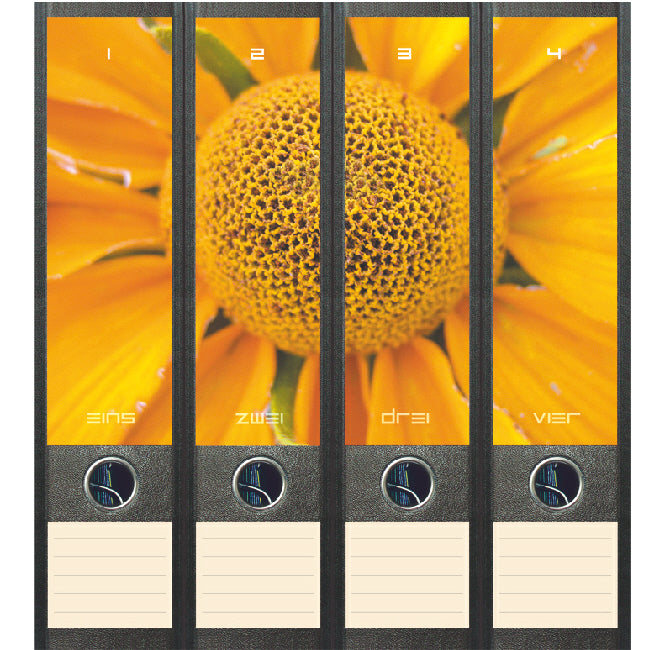 Ordnerstickers breed, 4 stuks zonnebloem, met tekstlabels