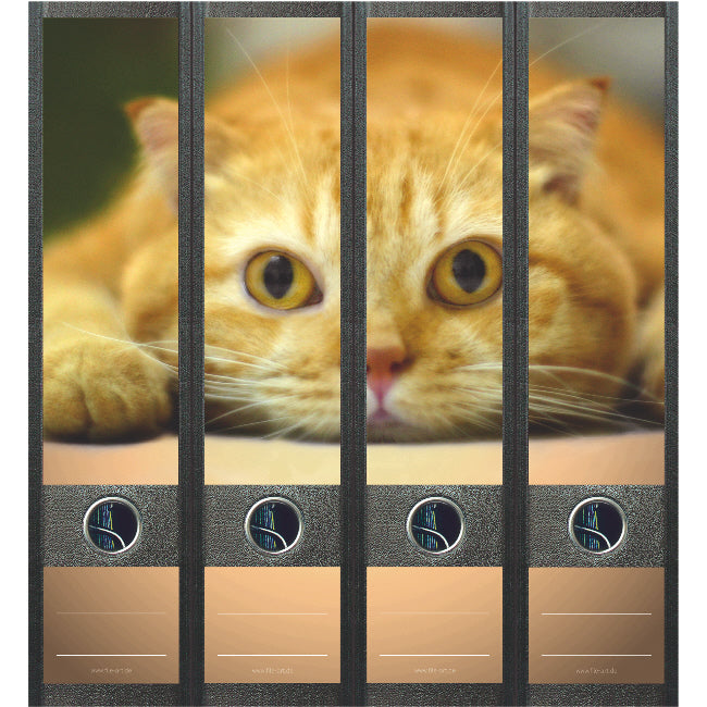 Ordneretiketten breed, 4 stuks rode kat