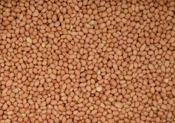 Gepelde pinda's 2,5 kg