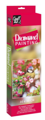 Pimpelmees diamond painting, 30 × 30 cm