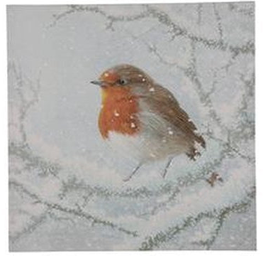 Roodborst canvas schilderij met led en timer, 30 x 30 cm