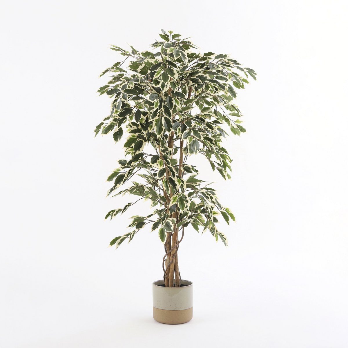 Ficus kunstplant, 150 cm