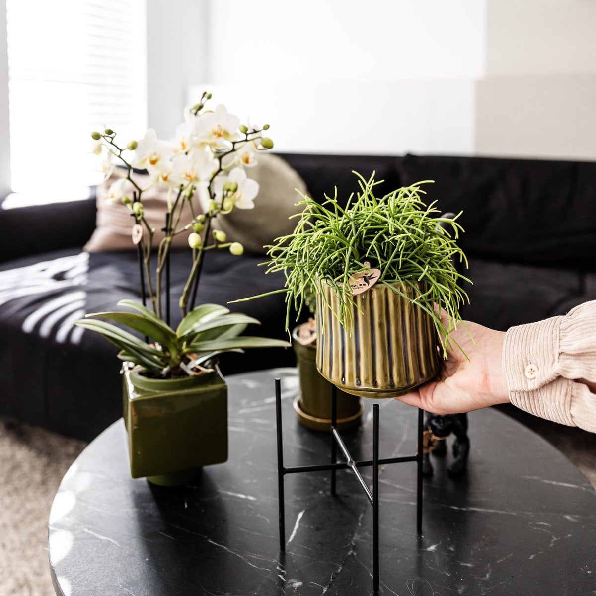 Metalen plantenstandaard, zwart, Ø 14 cm, 18,5 cm hoog
