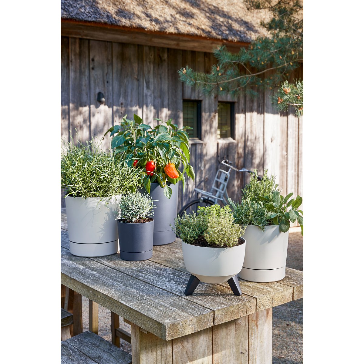 Plantenbak Doppio beige, Ø40 cm