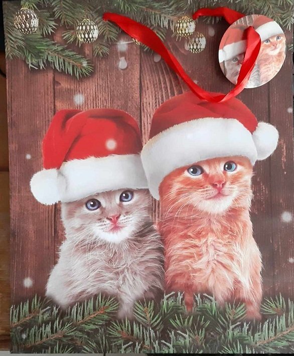 Kerstkatjes cadeautas