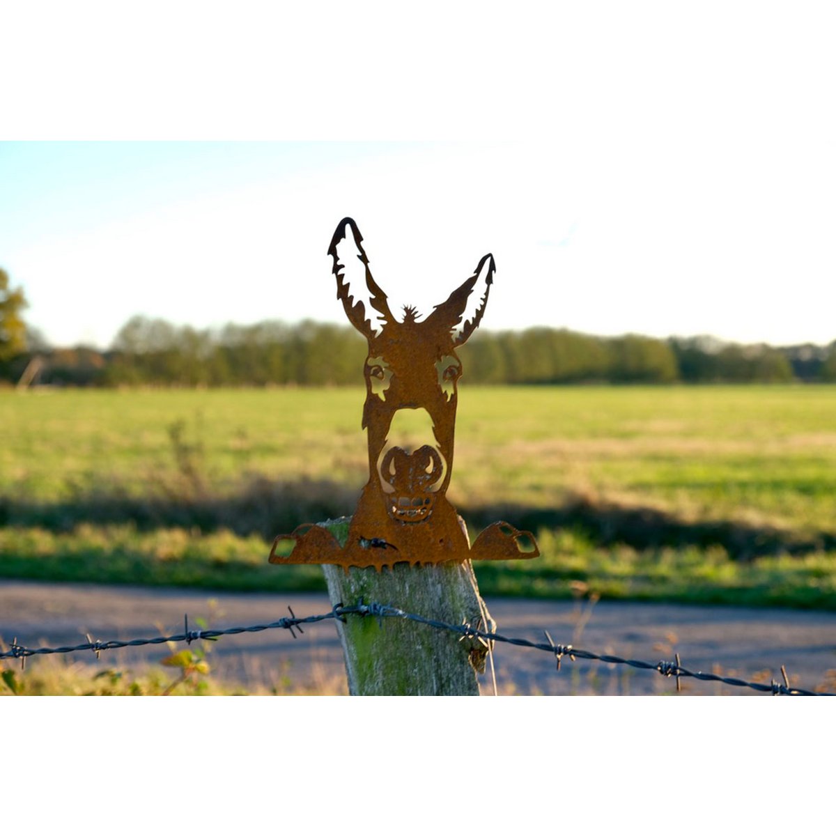 Roestmetalen peekaboo ezel Jakob