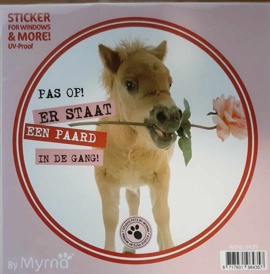 Er staat een paard in de gang sticker