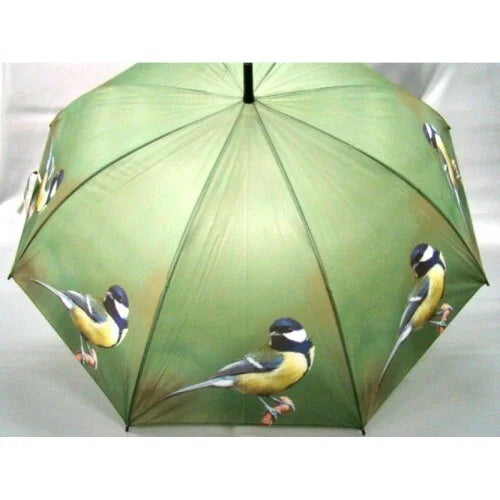 Paraplu's