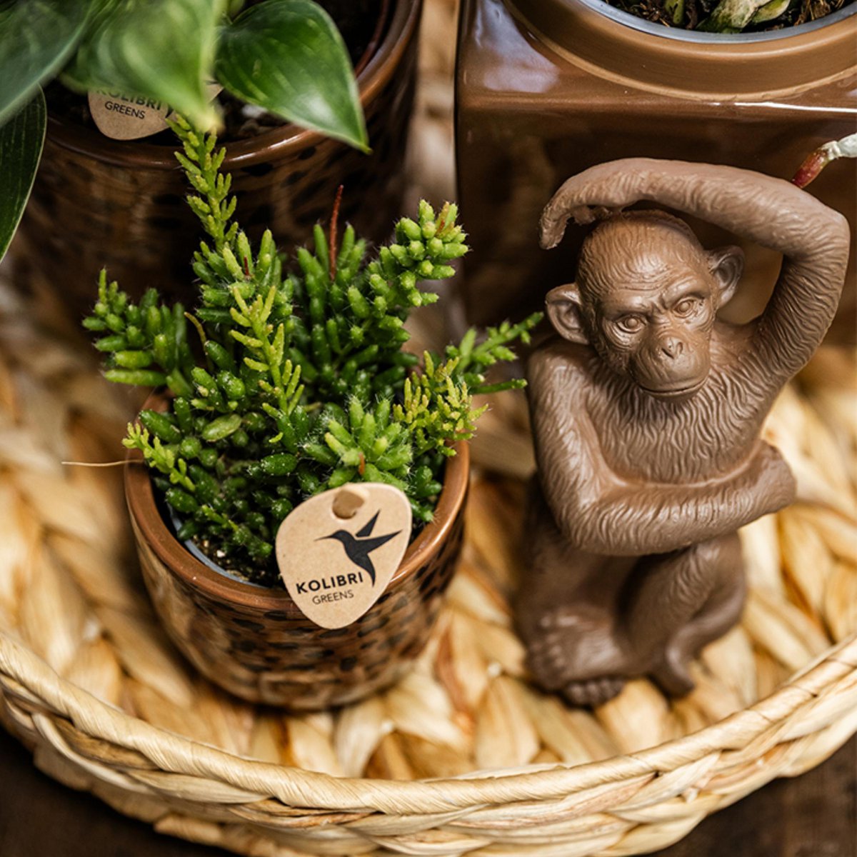 Sitting Monkey ornament, bruin, 13 cm