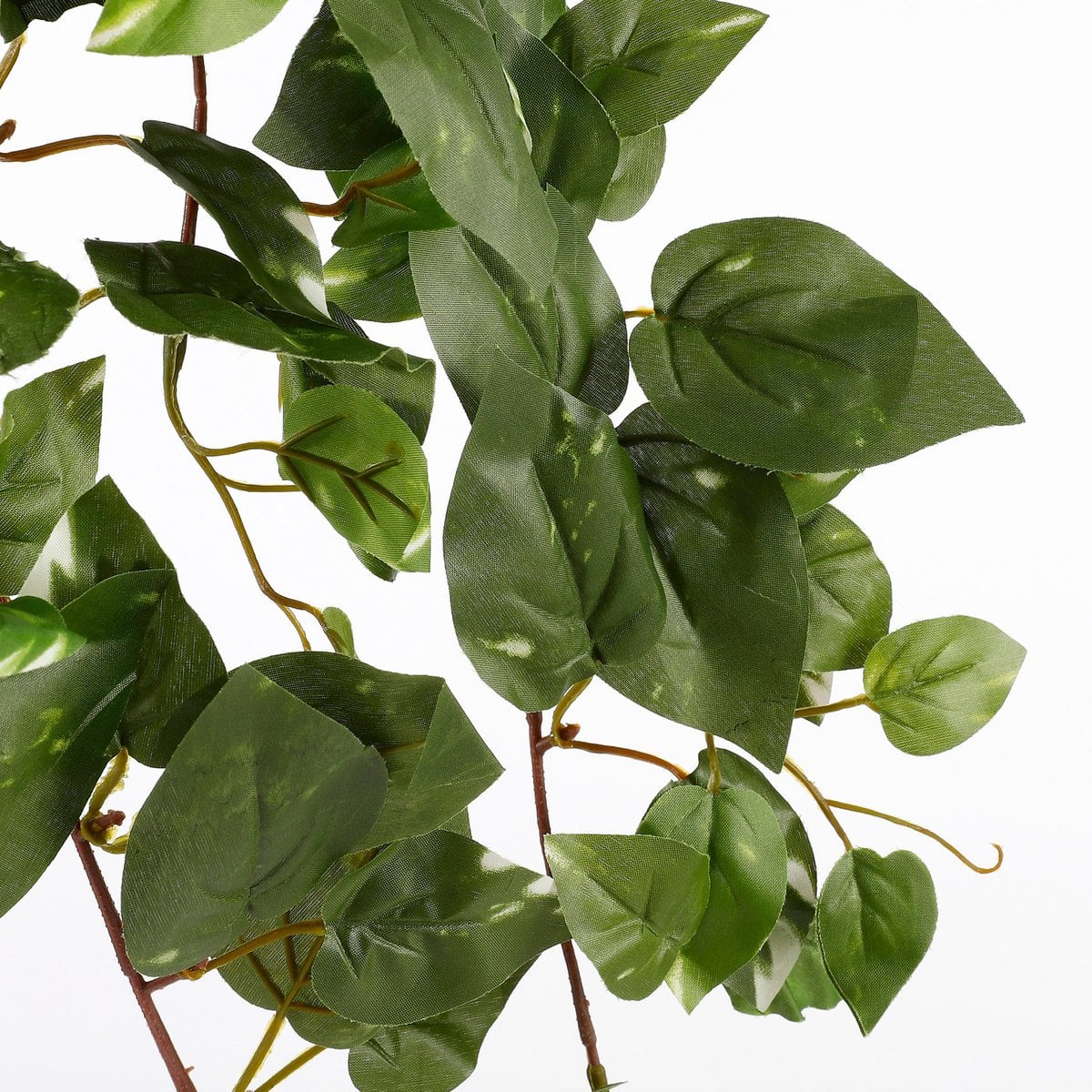 Scindapsus, hangende kunstplant, 80 cm