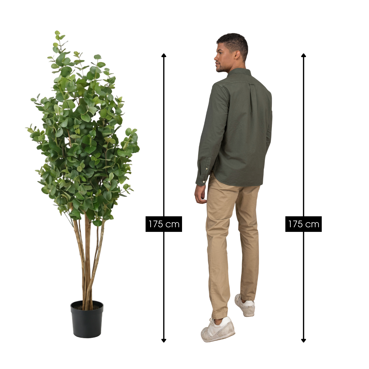 Eucalyptus kunstplant, 175 cm