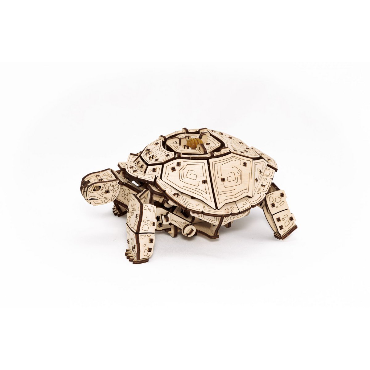 3D mechanische houten puzzel schildpad 22,3 × 16,5 × 11,6 cm