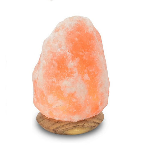 Salt Dreams Himalaya zoutlamp met houten voet 18 cm