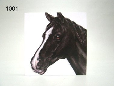 Paard wenskaart, 16 x 16 cm