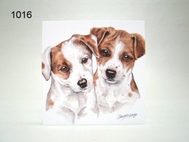Jack Russell pups, wenskaart, 16 x 16 cm