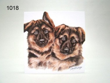 Duitse herder pups, wenskaart, 16 x 16 cm