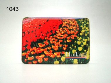 Tulpen magneet