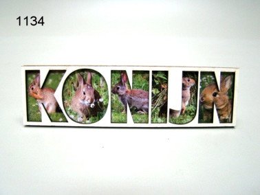 Konijn lettermagneet, hout
