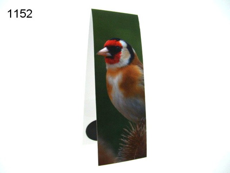 Putter, magnetische boekenlegger