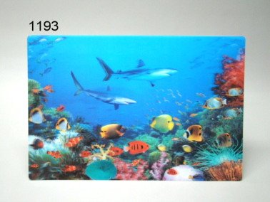 Haai, 3D placemat