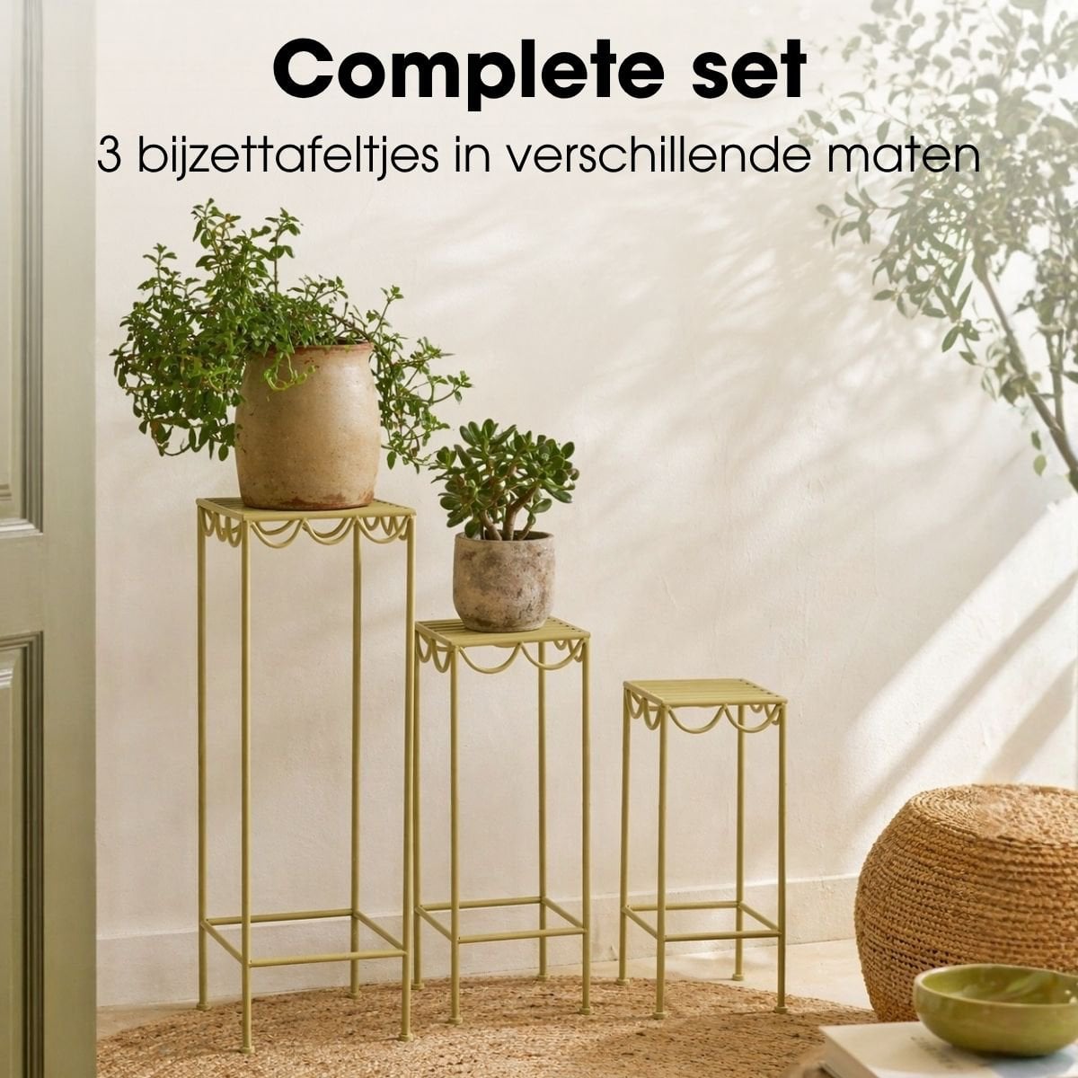 Rosalie planttafels, set van 3, lichtgroen