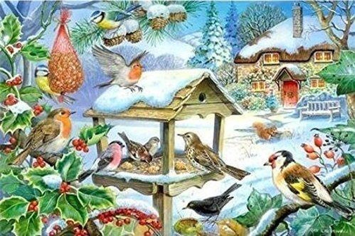 Feed the birds legpuzzel, 250 XL stukjes