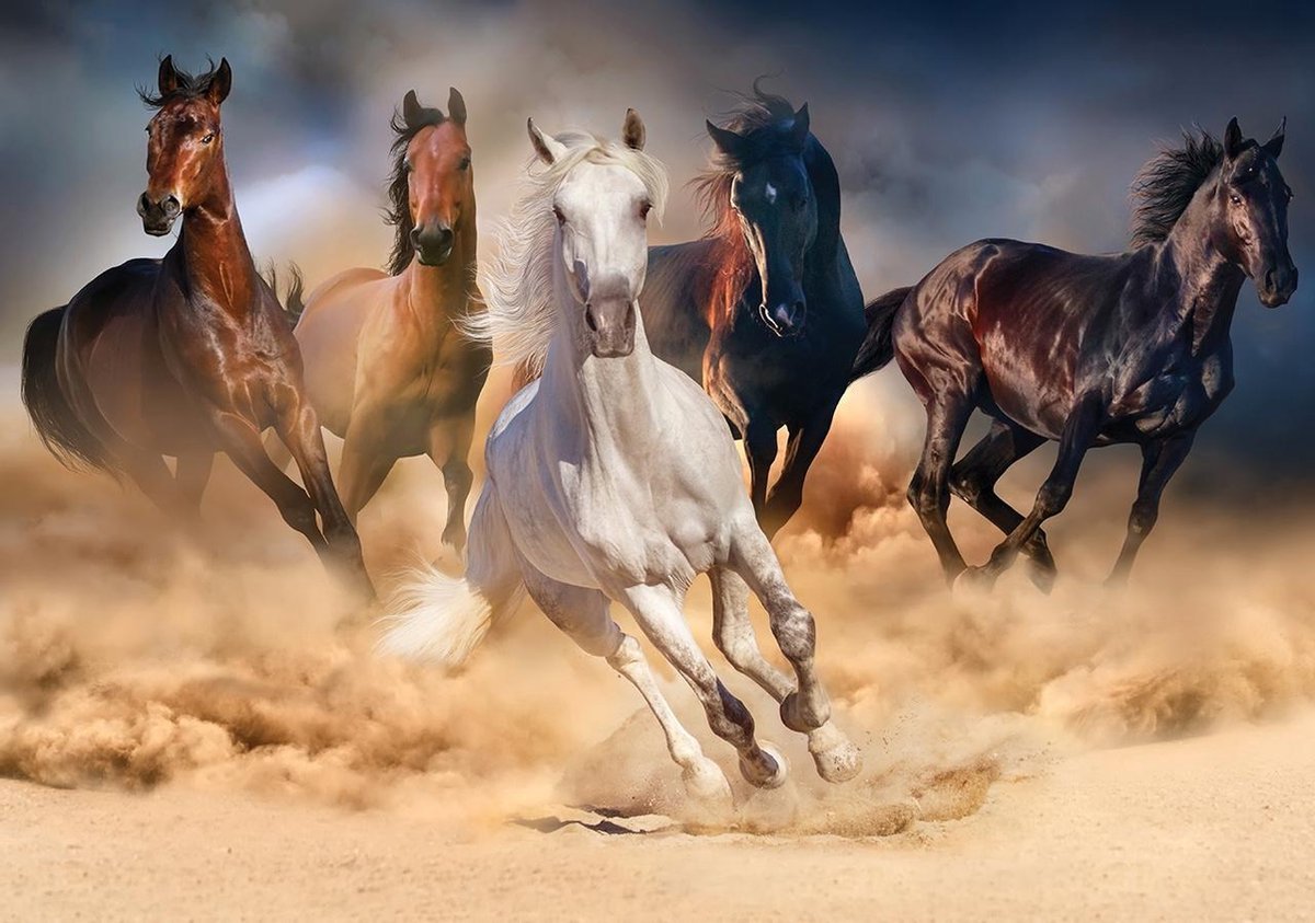 Wild Horses legpuzzel 1000 stukjes