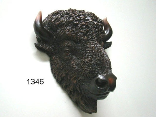 Bison kop