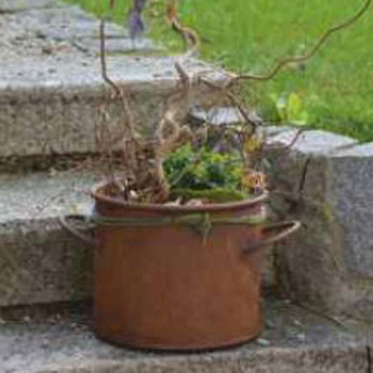 Roestige bloempot 19 x 23 cm