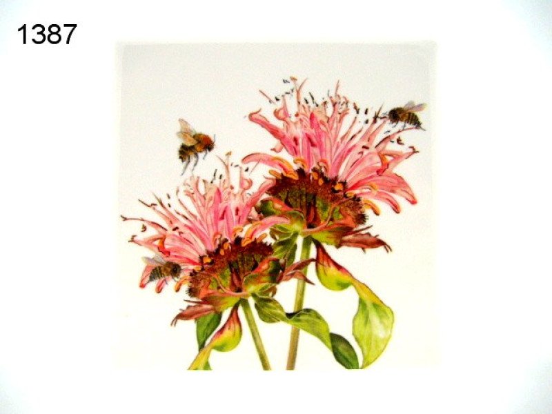 Bee-tanical bij bergamot onderzetter, keramiek