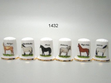 Paard vingerhoed, 6 stuks