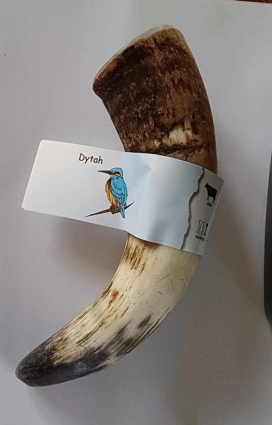 Cattle horn, M