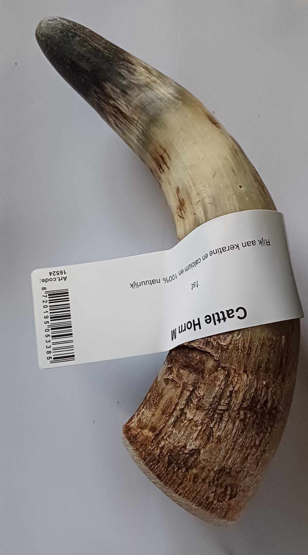 Cattle horn, M