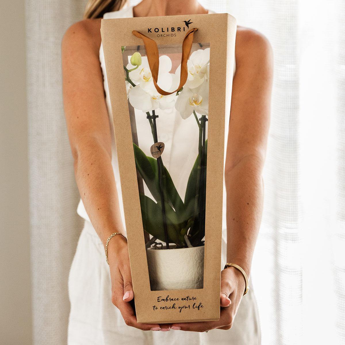 Cadeautasje voor orchidee met sierpot, wit, 45 cm