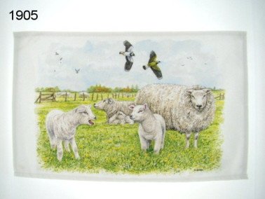 Schaap gastendoek, 30 x 50 cm