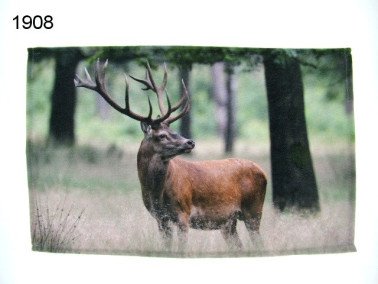 Edelhert gastendoek, 30 x 50 cm