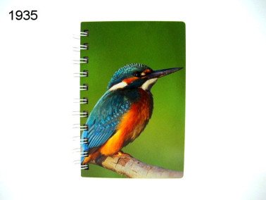 IJsvogel notitieboekje, hout