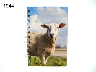 Schaap notitieboekje, hout