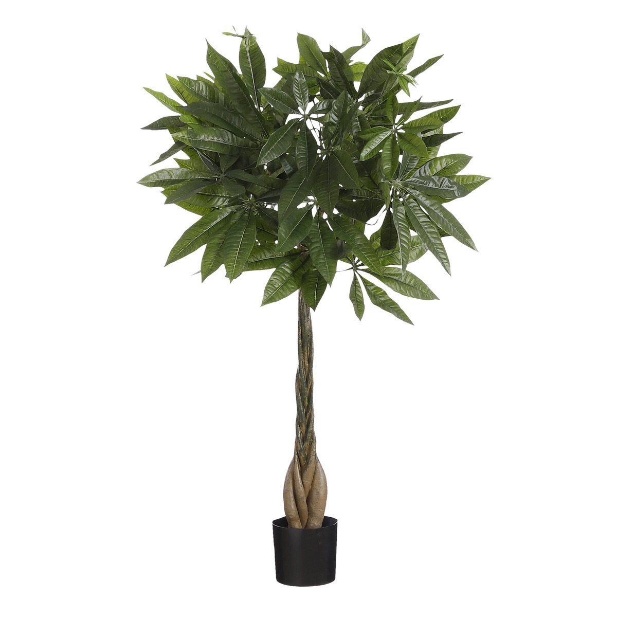 Pachira kunstplant, 80 cm
