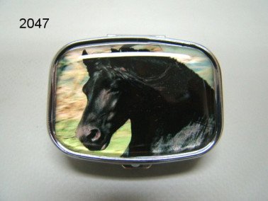 Fries, paard, pillendoosje