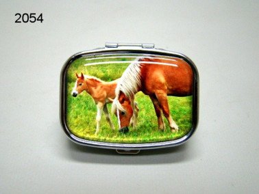 Haflinger pillendoosje