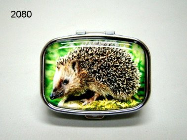 Egel pillendoosje