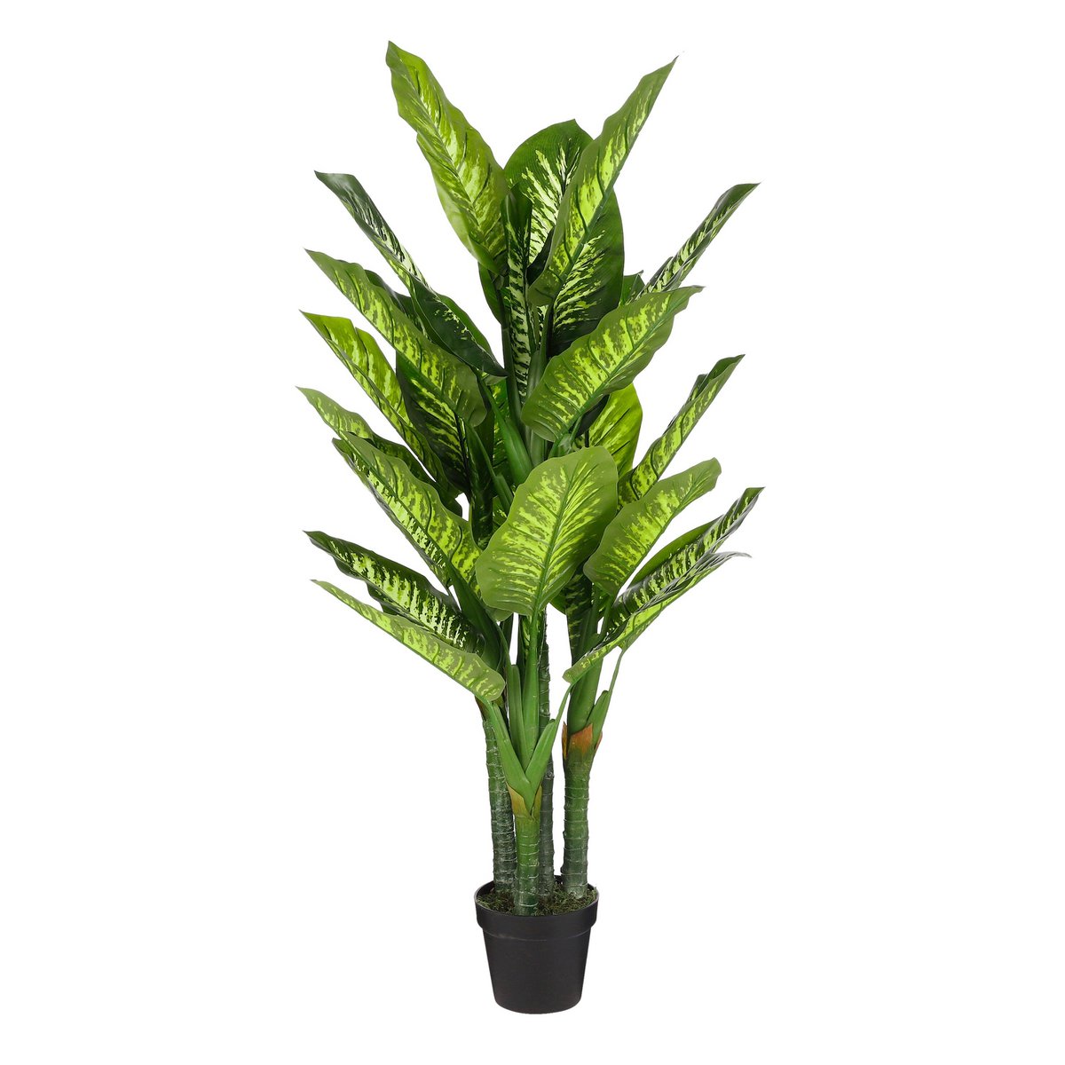 Dieffenbachia kunstplant, 150 cm