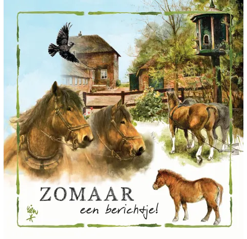 Rien Poortvliet Wenskaart – Zomaar een berichtje paarden – 13,5 x 13,5 cm