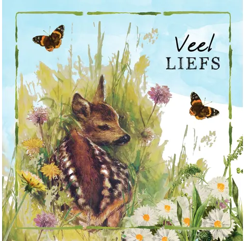 Rien Poortvliet Wenskaart – Veel liefs hertje – 13,5 x 13,5 cm