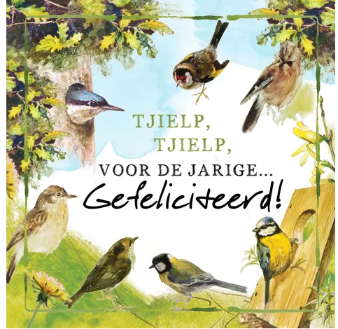 Rien Poortvliet Wenskaart – Tjielp tjielp voor de jarige – 13,5 x 13,5 cm