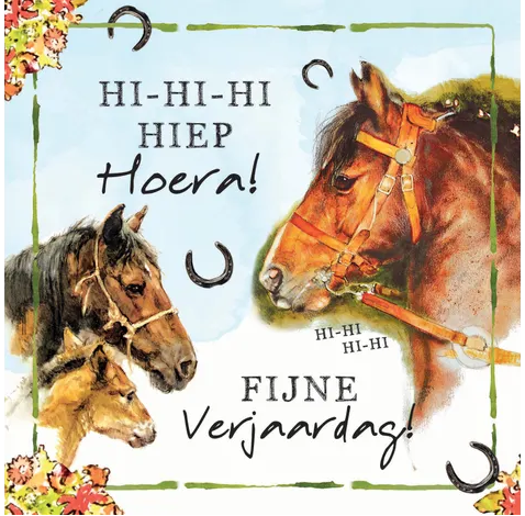 Rien Poortvliet Wenskaart – Hi hi hi hiep hoera paarden – 13,5 x 13,5 cm