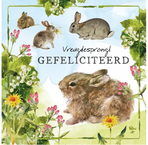 Rien Poortvliet Wenskaart – Vreugdesprong gefeliciteerd konijntjes – 13,5 x 13,5 cm